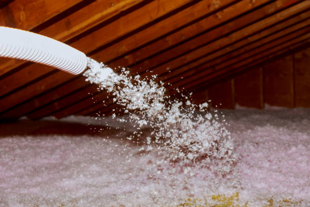 Best Eco-Friendly Insulation in Clearlake Oaks, CA