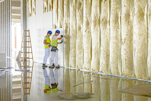 Types of Insulation We Offer in Clearlake Oaks, CA